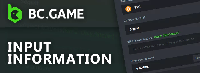 Enter the information and specify the amount of the withdrawal from BC Game