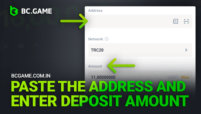 Enter your cryptocurrency wallet details to deposit in BCGame